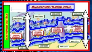 ANALOGIA ENTORNO Y MEMBRANA CELULAR.-
ANALOGIA ENTORNO Y MEMBRANA CELULAR.-
EL
NUEVO
ENFOQUE
DE
LA
FÍSICA.-
EL ENTORNO =
MEMBRANA CEL.
EL ENTORNO =
MEMBRANA CEL.
EL ENTORNO =
MEMBRANA CEL.
MUNDO CUANTICO.-
MUNDO CLÁSICO.-
MUNDO CLÁSICO.-
MUNDO CLÁSICO.-
MUNDO CUANTICO.- MUNDO CUANTICO.-
MUNDO CUANTICO.-
MUNDO CLÁSICO.-
EL ENTORNO =
MEMBRANA CEL.
 