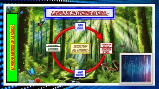EL
NUEVO
ENFOQUE
DE
LA
FÍSICA.- EJEMPLO DE UN ENTORNO NATURAL.-
MUNDO
CUANTICO.-
MUNDO
CLÁSICO.-
ENTORNO.-
ENTORNO.-
TRANSICION
DE FASE.-
TRANSICION
DE FASE.-
ECOSISTEMA
DEL ENTORNO.-
 