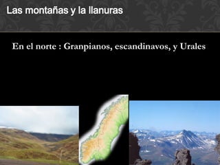 En el norte : Granpianos, escandinavos, y Urales
 