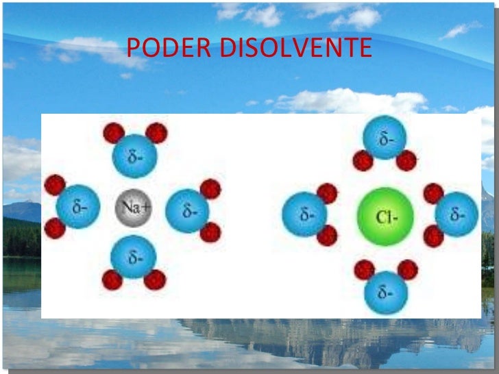 Tema 11 contaminacion agua