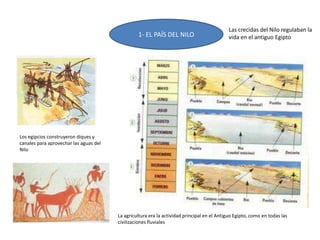 1- EL PAÍS DEL NILO
Las crecidas del Nilo regulaban la
vida en el antiguo Egipto
Los egipcios construyeron diques y
canales para aprovechar las aguas del
Nilo
La agricultura era la actividad principal en el Antiguo Egipto, como en todas las
civilizaciones fluviales
 