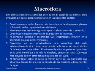 Tema11 el suelo propiedades (1) | PPTX