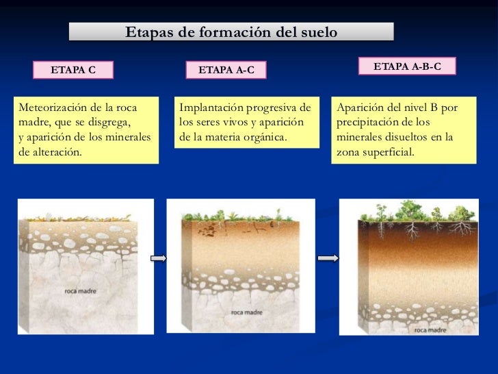 Tema11 el suelo propiedades (1)