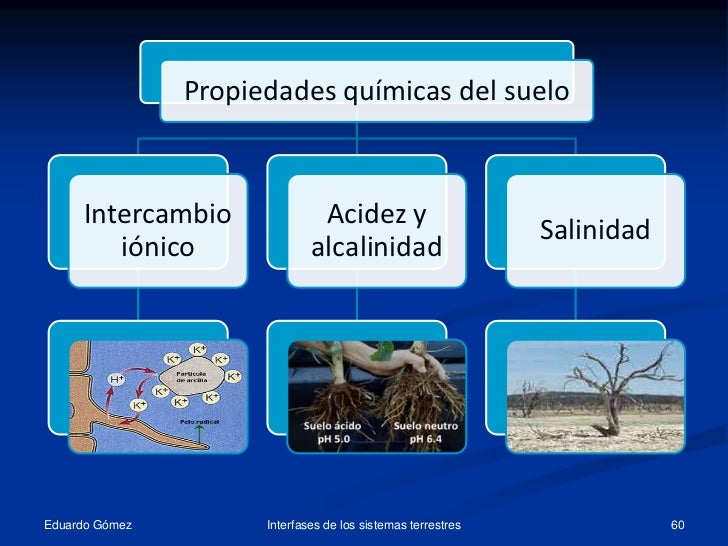 Resultado de imagen para PROPIEDADES QUIMICAS DEL SUELO