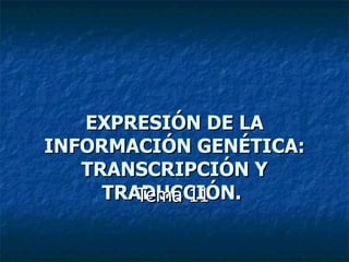 EXPRESIÓN DE LA
INFORMACIÓN GENÉTICA:
   TRANSCRIPCIÓN Y
     TRADUCCIÓN.
        Tema 11
 