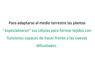 Para adaptarse al medio terrestre las plantas
“especializaron” sus células para formar tejidos con
funciones capaces de hacer frente a las nuevas
dificultades.
 