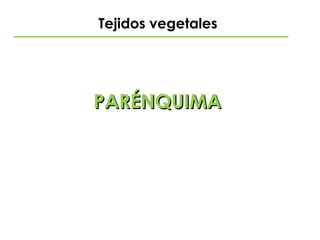 Tejidos vegetales 
PARÉNQUIMAPARÉNQUIMA
 