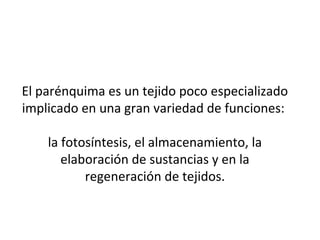 El parénquima es un tejido poco especializado
implicado en una gran variedad de funciones:
la fotosíntesis, el almacenamiento, la
elaboración de sustancias y en la
regeneración de tejidos.
 
