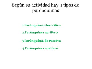 Según su actividad hay 4 tipos de
parénquimas
1.Parénquima clorofílico
2.Parénquima aerífero
3.Parénquima de reserva
4.Parénquima acuífero
 