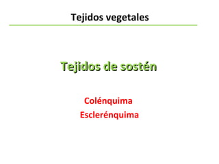 Tejidos vegetales
 
Tejidos de sosténTejidos de sostén
Colénquima
Esclerénquima
 