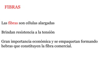 Las fibras son células alargadas
Brindan resistencia a la tensión
Gran importancia económica y se empaquetan formando
hebras que constituyen la fibra comercial.
FIBRAS
 