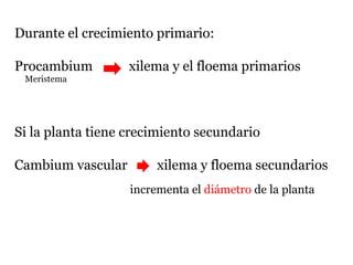 Durante el crecimiento primario:
Procambium xilema y el floema primarios
Si la planta tiene crecimiento secundario
Cambium vascular xilema y floema secundarios
Meristema
incrementa el diámetro de la planta
 