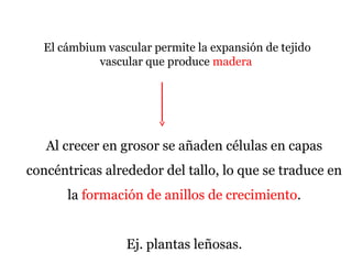 Al crecer en grosor se añaden células en capas
concéntricas alrededor del tallo, lo que se traduce en
la formación de anillos de crecimiento.
Ej. plantas leñosas.
El cámbium vascular permite la expansión de tejido
vascular que produce madera
 