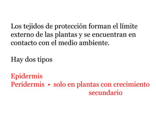 Los tejidos de protección forman el límite
externo de las plantas y se encuentran en
contacto con el medio ambiente.
Hay dos tipos
Epidermis
Peridermis ► solo en plantas con crecimiento
secundario
 