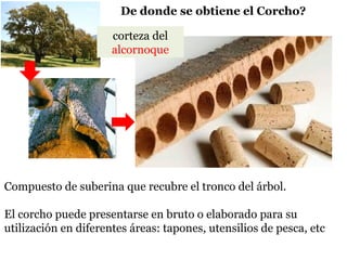 Compuesto de suberina que recubre el tronco del árbol.
El corcho puede presentarse en bruto o elaborado para su
utilización en diferentes áreas: tapones, utensilios de pesca, etc
De donde se obtiene el Corcho?
corteza del
alcornoque
 