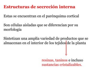 Estructuras de secreción interna
Estas se encuentran en el parénquima cortical
Son células aisladas que se diferencian por su
morfología
Sintetizan una amplia variedad de productos que se
almacenan en el interior de los tejidos de la planta
resinas, taninos e incluso
sustancias cristalizables.
 