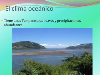 El clima oceánico
 Tiene unas Temperaturas suaves y precipitaciones
abundantes.
 