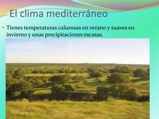 El clima mediterráneo
 Tienes temperaturas calurosas en verano y suaves en
invierno y unas precipitaciones escasas.
 