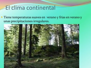 El clima continental
 Tiene temperaturas suaves en verano y frías en verano y
unas precipitaciones irregulares.
 