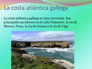 La costa atlántica gallega
‐ La costa atlántica gallega es muy recortada. Sus
principales accidentes so el cabo Finisterre, la ría de
Muros y Noya, la ría de Arousa y la ría de Vigo.
 
