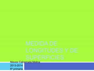 MEDIDA DE
LONGITUDES Y DE
SUPERFICIES
Nieves Calcerrada Molina
2013-2014
6º primaria.
 