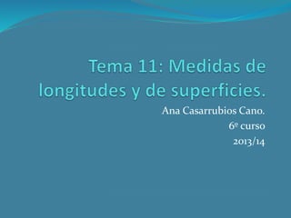 Ana Casarrubios Cano.
6º curso
2013/14