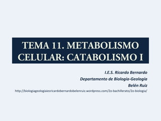 TEMA 11. METABOLISMO
 CELULAR: CATABOLISMO I
                                                        I.E.S. Ricardo Bernardo
                                             Departamento de Biología-Geología
                                                                      Belén Ruiz
http://biologiageologiaiesricardobernardobelenruiz.wordpress.com/2o-bachillerato/2o-biologia/
 