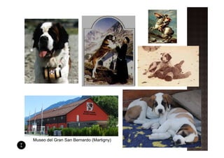 Museo del Gran San Bernardo (Martigny)
 