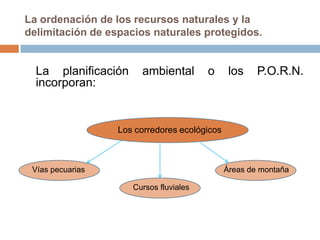 La ordenación de los recursos naturales y la
delimitación de espacios naturales protegidos.


  La planificación     ambiental        o      los    P.O.R.N.
  incorporan:


                  Los corredores ecológicos



 Vías pecuarias                               Áreas de montaña

                     Cursos fluviales
 