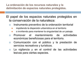 La ordenación de los recursos naturales y la
delimitación de espacios naturales protegidos.


El papel de los espacios naturales protegidos en
  la conservación de la naturaleza:
         Instrumento preventivo de la ordenación territorial
           impidiendo la dispersión urbanística en el territorio
           o invirtiendo para mantener la singularidad de un paisaje.
         Promover el mantenimiento de actividades
          económicas beneficiosas para el territorio.
         Comunicación con el público y la prestación de
          servicios recreativos y turísticos.
         La vigilancia y en el control de las actividades
          lesivas para ciertas especies.
 