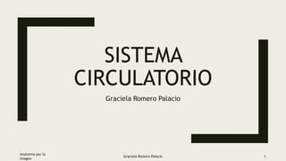 SISTEMA
CIRCULATORIO
Graciela Romero Palacio
Anatomia por la
imagen
Graciela Romero Palacio 1
 