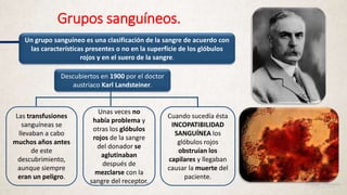 Grupos sanguíneos.
Un grupo sanguíneo es una clasificación de la sangre de acuerdo con
las características presentes o no en la superficie de los glóbulos
rojos y en el suero de la sangre.
Descubiertos en 1900 por el doctor
austriaco Karl Landsteiner.
Las transfusiones
sanguíneas se
llevaban a cabo
muchos años antes
de este
descubrimiento,
aunque siempre
eran un peligro.
Unas veces no
había problema y
otras los glóbulos
rojos de la sangre
del donador se
aglutinaban
después de
mezclarse con la
sangre del receptor.
Cuando sucedía ésta
INCOPATIBILIDAD
SANGUÍNEA los
glóbulos rojos
obstruían los
capilares y llegaban
causar la muerte del
paciente.
 