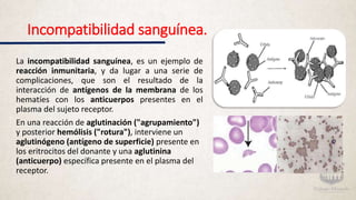 Incompatibilidad sanguínea.
La incompatibilidad sanguínea, es un ejemplo de
reacción inmunitaria, y da lugar a una serie de
complicaciones, que son el resultado de la
interacción de antígenos de la membrana de los
hematíes con los anticuerpos presentes en el
plasma del sujeto receptor.
En una reacción de aglutinación ("agrupamiento")
y posterior hemólisis ("rotura"), interviene un
aglutinógeno (antígeno de superficie) presente en
los eritrocitos del donante y una aglutinina
(anticuerpo) específica presente en el plasma del
receptor.
 