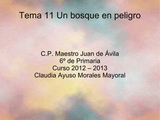 Tema 11 Un bosque en peligro
C.P. Maestro Juan de Ávila
6º de Primaria
Curso 2012 – 2013
Claudia Ayuso Morales Mayoral
 