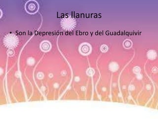 Las llanuras
• Son la Depresión del Ebro y del Guadalquivir
 