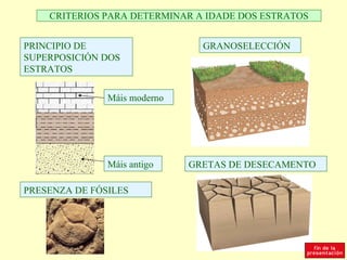 CRITERIOS PARA DETERMINAR A IDADE DOS ESTRATOS


PRINCIPIO DE                    GRANOSELECCIÓN
SUPERPOSICIÓN DOS
ESTRATOS


               Máis moderno




               Máis antigo    GRETAS DE DESECAMENTO

PRESENZA DE FÓSILES
 