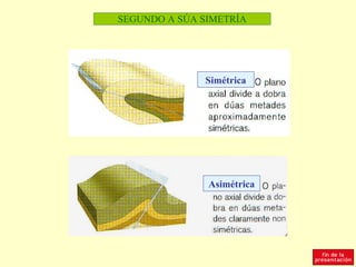 SEGUNDO A SÚA SIMETRÍA




              Simétrica




               Asimétrica
 