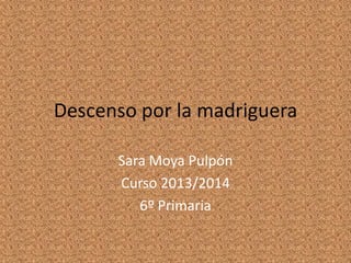 Descenso por la madriguera
Sara Moya Pulpón
Curso 2013/2014
6º Primaria
 