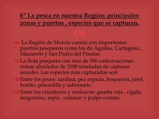 
 La Región de Murcia cuenta con importantes
puertos pesqueros como los de Águilas, Cartagena ,
Mazarrón y San Pedro del Pinatar.
 La flota pesquera con mas de 300 embarcaciones
extrae alrededor de 3100 toneladas de capturas
anuales. Las especies más capturadas son:
 Entre los peces: sardina, pez espada, boquerón, jurel,
bonito, pescadilla y salmonete .
 Entre los crustáceos y moluscos: gamba roja , cigala,
langostino, sepia , calamar y pulpo común.
6º La pesca en nuestra Región: principales
zonas y puertos , especies que se capturan.
 
