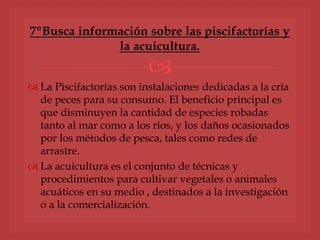 
 La Piscifactorías son instalaciones dedicadas a la cría
de peces para su consumo. El beneficio principal es
que disminuyen la cantidad de especies robadas
tanto al mar como a los ríos, y los daños ocasionados
por los métodos de pesca, tales como redes de
arrastre.
 La acuicultura es el conjunto de técnicas y
procedimientos para cultivar vegetales o animales
acuáticos en su medio , destinados a la investigación
o a la comercialización.
7ºBusca información sobre las piscifactorías y
la acuicultura.
 
