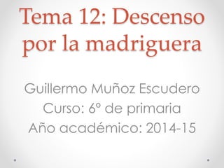Tema 12: Descenso
por la madriguera
Guillermo Muñoz Escudero
Curso: 6º de primaria
Año académico: 2014-15
 