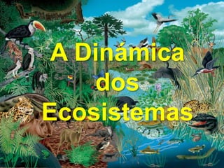 A Dinámica
dos
Ecosistemas
 