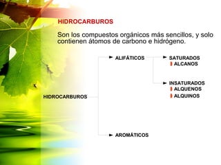 Son los compuestos orgánicos más sencillos, y solo
contienen átomos de carbono e hidrógeno.
HIDROCARBUROS
HIDROCARBUROS
ALIFÁTICOS
AROMÁTICOS
SATURADOS
INSATURADOS
ALCANOS
ALQUENOS
ALQUINOS
 