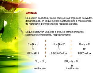 Se pueden considerar como compuestos orgánicos derivados
del amoníaco, en el que se han sustituido uno o más átomos
de hidrógeno, por otros tantos radicales alquilos.
Según sustituyan uno, dos o tres, se llaman primarias,
secundarias o terciarias, respectivamente.
AMINAS
R – N – H
H
R – N – R'
H
R – N – R'
R''
PRIMARIA SECUNDARIA TERCIARIAPRIMARIA
CH3
– N – CH3
H
CH3
– NH2
metil amina dimetil amina
 