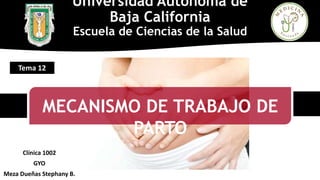 Clínica 1002
GYO
Meza Dueñas Stephany B.
Universidad Autónoma de
Baja California
Escuela de Ciencias de la Salud
MECANISMO DE TRABAJO DE
PARTO
Tema 12
 