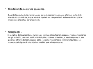 • Reciclaje de la membrana plasmática .
Durante la exocitosis ,la membrana de las vesículas secretoras pasa a formar parte de la
membrana plasmática ,lo que permite reponer los componentes de la membrana que se
incorporan a la célula por endocitosis.
• Glicosilación .
El complejo de Golgi contiene numerosas enzimas glicosiltransferasas que realizan reacciones
de glicosilación, tanto en moléculas de lípidos como de proteínas ,a medida que estas van
pasando a través del complejo de Golgi . En estas reacciones se eliminan algunos de los
azucares del oligosacáridos añadido en el RE y se adicionan otros.
 