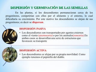 DISPERSIÓN Y GERMINACIÓN DE LAS SEMILLAS
          En las plantas, si los descendientes permanecieran cerca de los
progenitores, competirían con ellos por el alimento y el entorno, lo cual
dificultaría su crecimiento. Por este motivo los descendientes se alejan de sus
progenitores; es decir se dispersan.
 