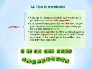 1.1. Tipos de reproducción
 
