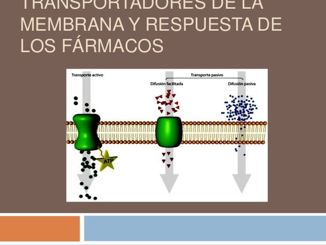 Tema 12 mecanismos de absorción y transporte de los fármacos