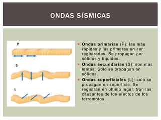 ONDAS SÍSMICAS
 Ondas primarias (P): las más
rápidas y las primeras en ser
registradas. Se propagan por
sólidos y líquidos.
 Ondas secundarias (S): son más
lentas. Sólo se propagan en
sólidos.
 Ondas superficiales (L): solo se
propagan en superficie. Se
registran en último lugar. Son las
causantes de los efectos de los
terremotos.
 